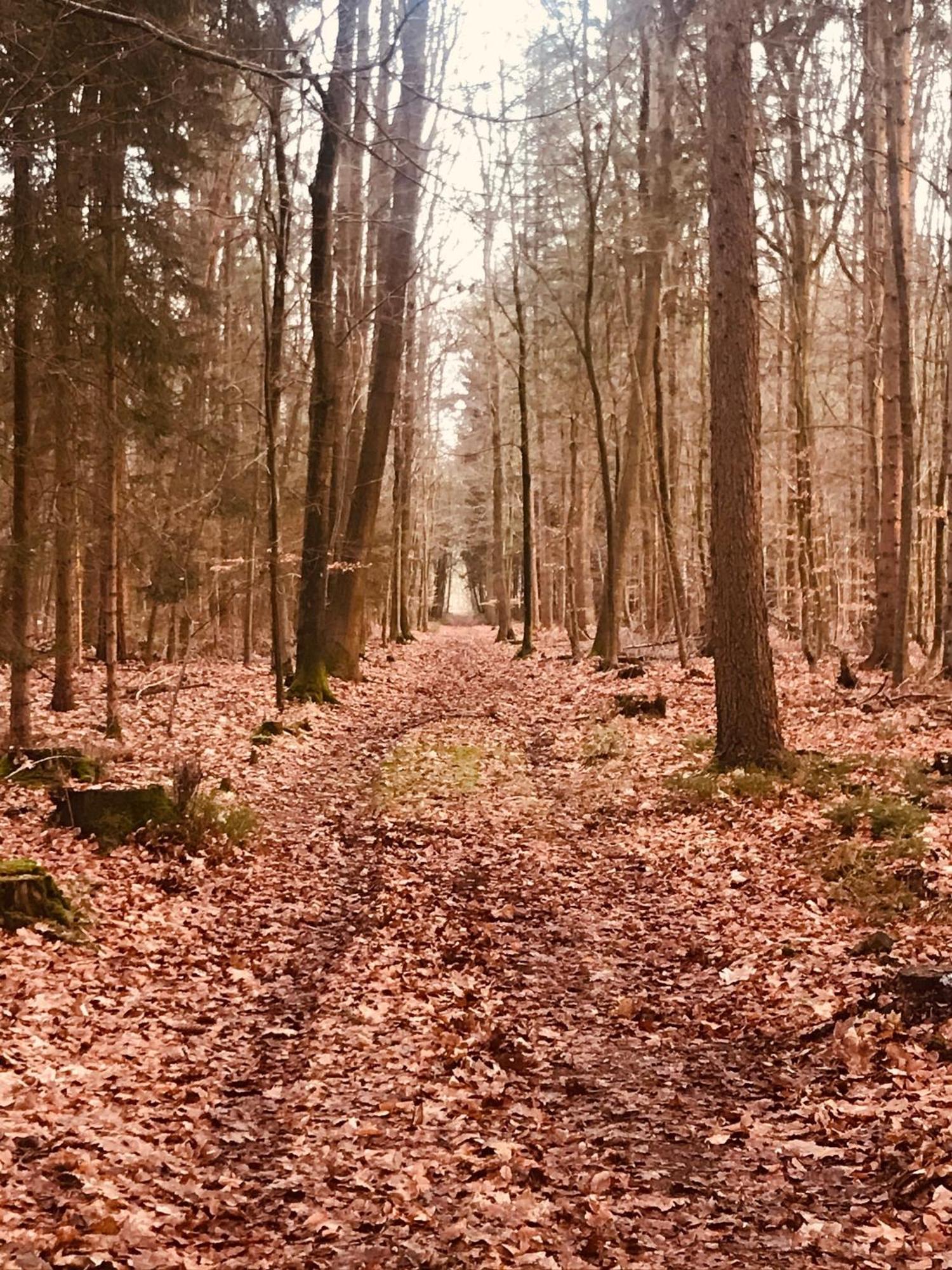Schoene Auszeit Re14 Sögel Extérieur photo