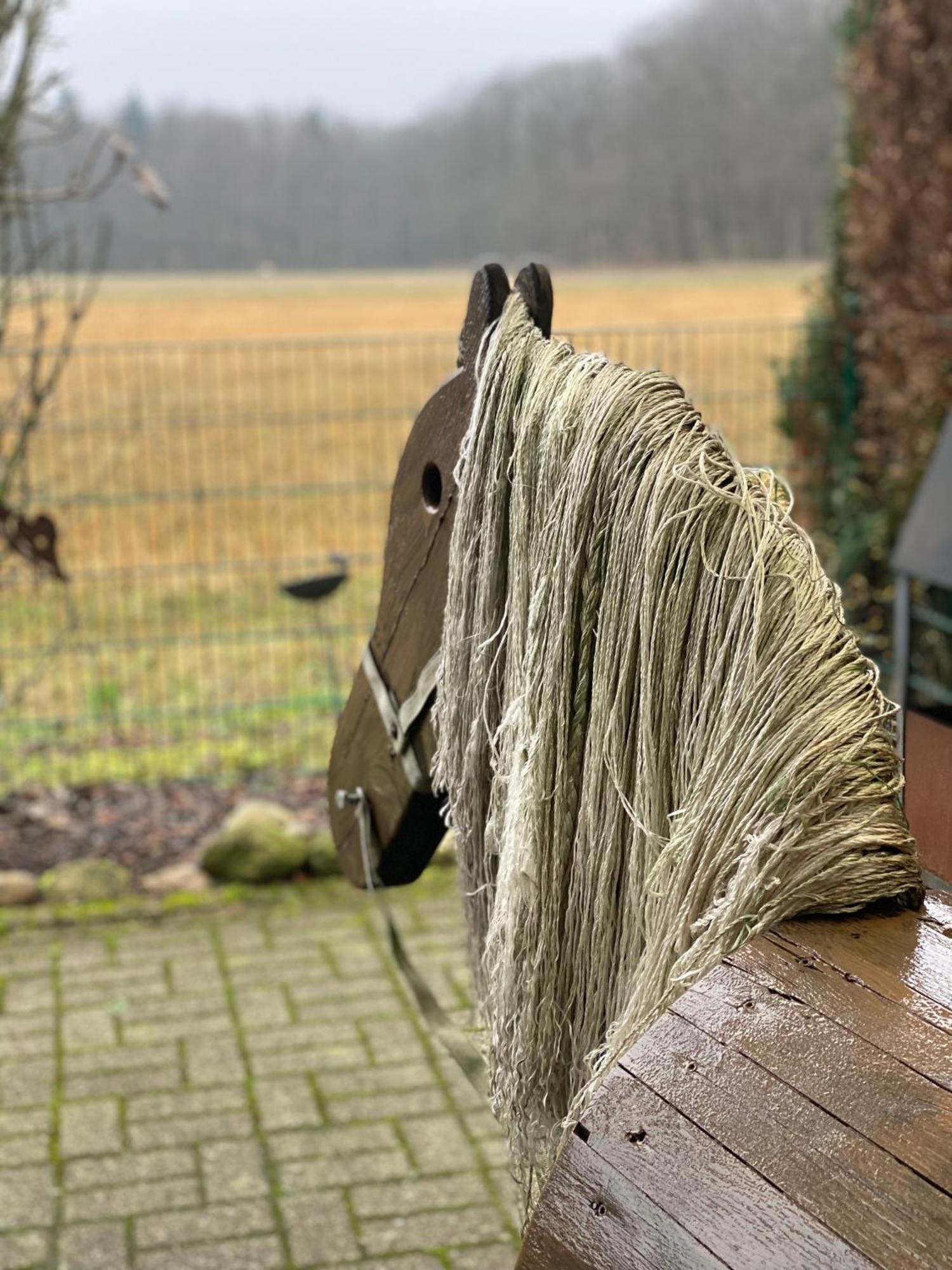 Schoene Auszeit Re14 Sögel Extérieur photo
